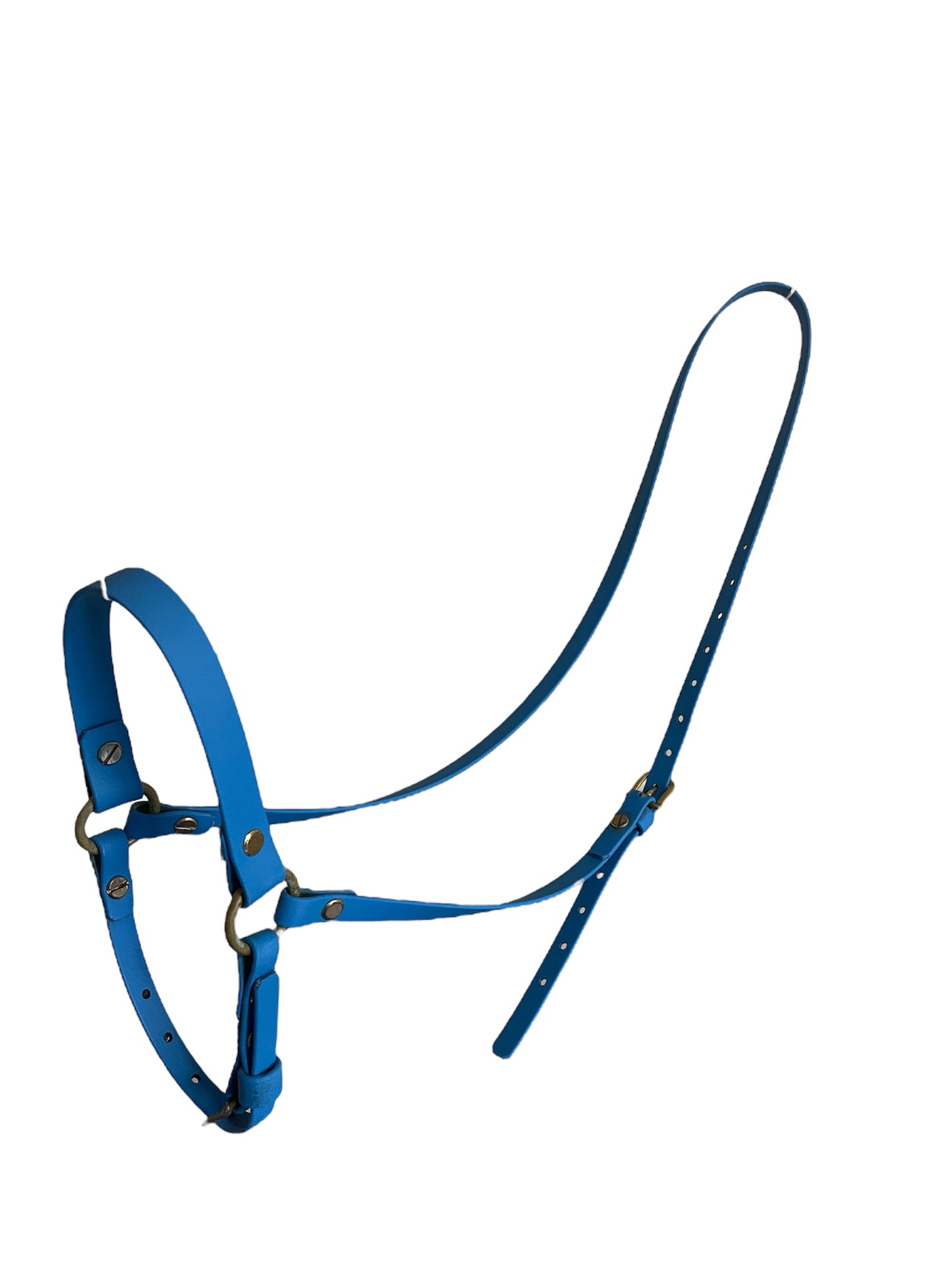 Polo Bride Bundle - Gag