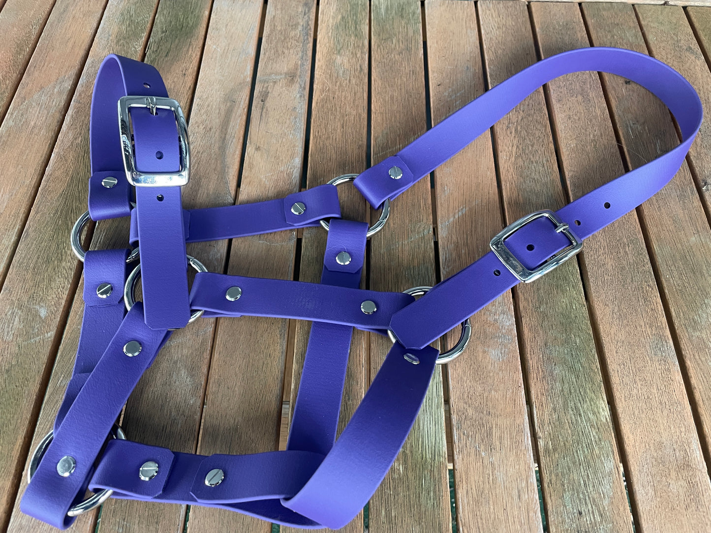 Head Collar - Cob