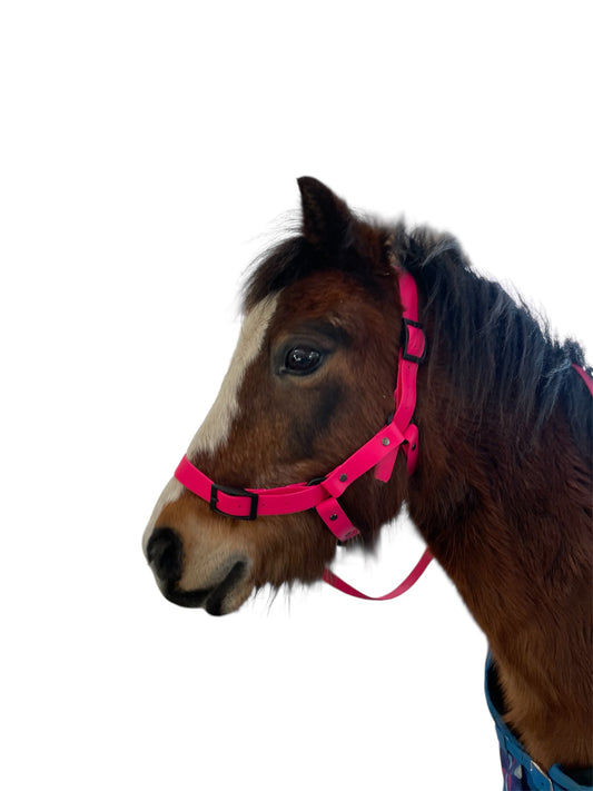 Head Collar - Pony