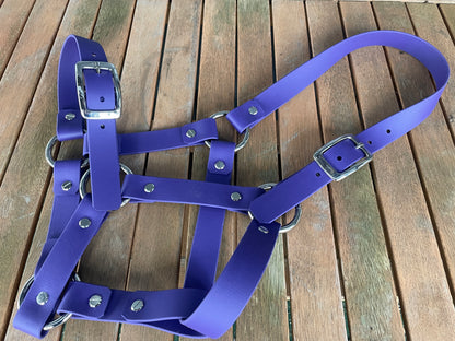 Head Collar - Cob
