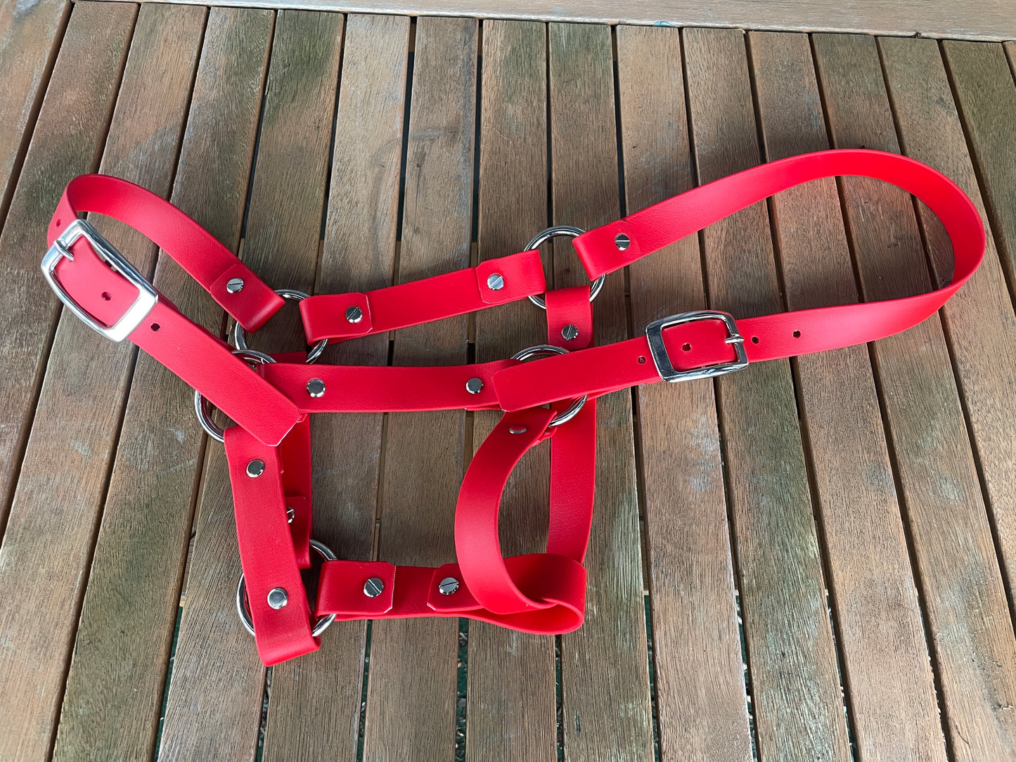 Head Collar - Cob