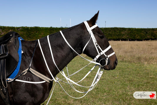 Polo Bride Bundle - Gag